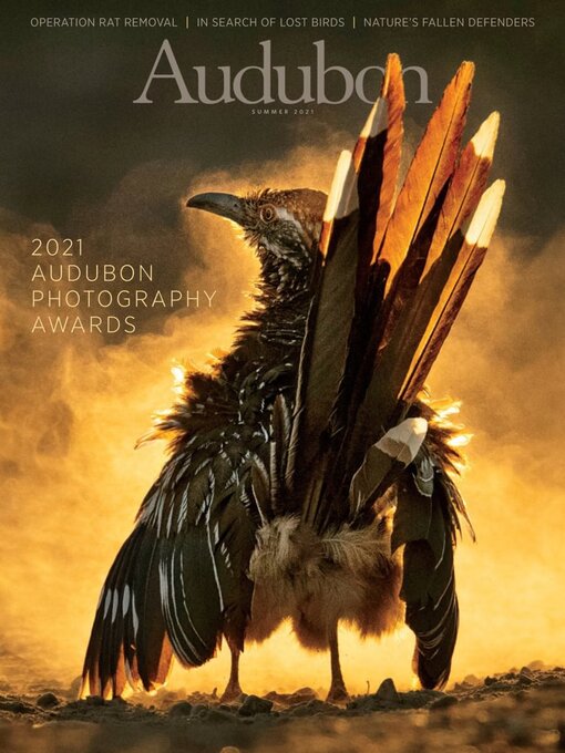 Title details for Audubon Magazine by National Audubon Society - Available